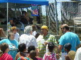 Click to see P1010009.JPG