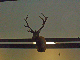 Click to see 01.htm